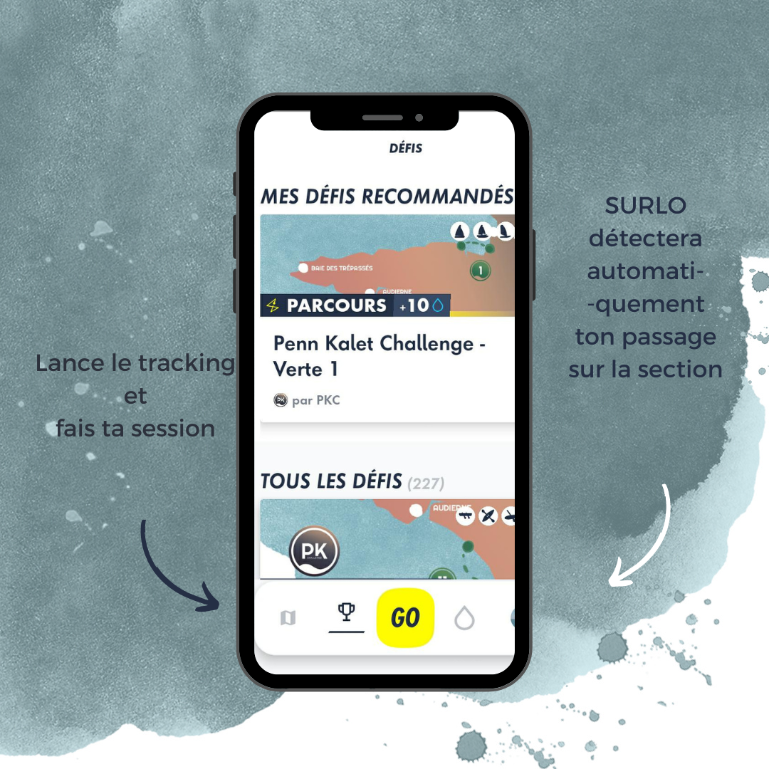 Section sélectionnée surlo